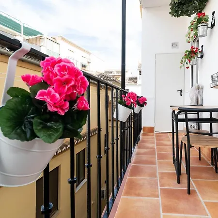 Apartment Emblematic In The Realejo